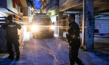 Μητροκτονία στη Λάρισα: Με τουλάχιστον τρεις μαχαιριές σκότωσε την 52χρονη ο γιος της – Ομολόγησε την πράξη του