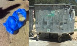 Φρίκη στο Ηράκλειο: Τι αποκάλυψε ο σύζυγος της μητέρας που πέταξε το νεογέννητο βρέφος της στα σκουπίδια