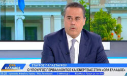 Παπασταύρου: Εθνική επιτυχία η ηλεκτρική διασύνδεση Κρήτης με την Αττική και η ένταξή της στο Εθνικό Ηλεκτρικό Σύστημα