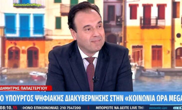Παπαστεργίου: Την Τρίτη ανοίγει η πλατφόρμα για τη δήλωση του προσωπικού αριθμού