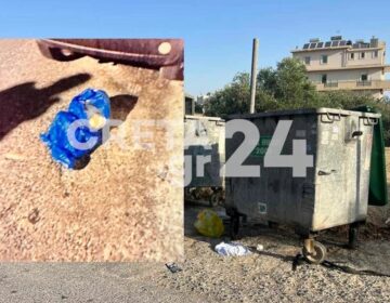 Σε ψυχιατρική κλινική η 33χρονη που πέταξε το βρέφος στα σκουπίδια, αφού το έφερε στον κόσμο στο σπίτι της στη Νέα Αλικαρνασσό