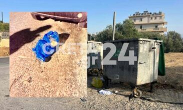 Σε ψυχιατρική κλινική η 33χρονη που πέταξε το βρέφος στα σκουπίδια, αφού το έφερε στον κόσμο στο σπίτι της στη Νέα Αλικαρνασσό