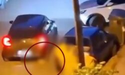 Απίστευτη κτηνωδία στην Καλαμαριά: 34χρονος βασάνισε και πάτησε με το αυτοκίνητο μικρό γατάκι