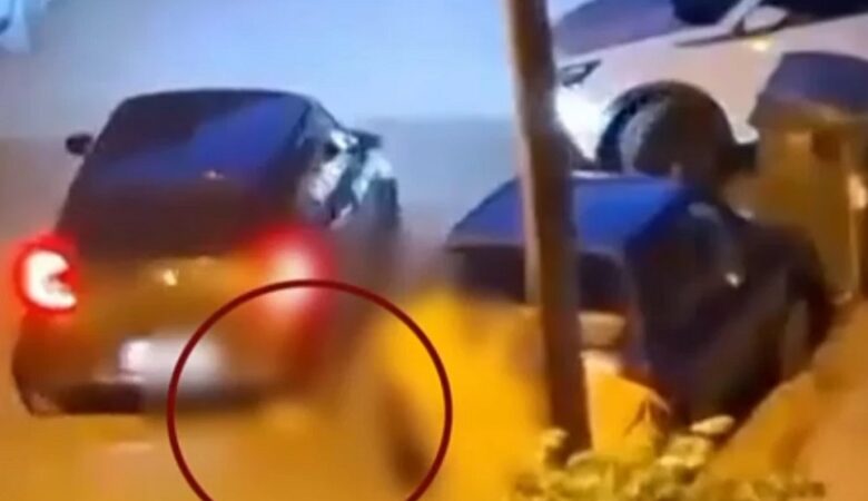 Θεσσαλονίκη: Στον εισαγγελέα ο 34χρονος που κλώτσησε και πάτησε με Ι.Χ. ένα γατάκι