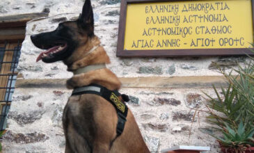 Βγαίνει στη σύνταξη ο Όσκαρ, ο πιο διάσημος σκύλος περιπολίας της ΕΛ.ΑΣ.