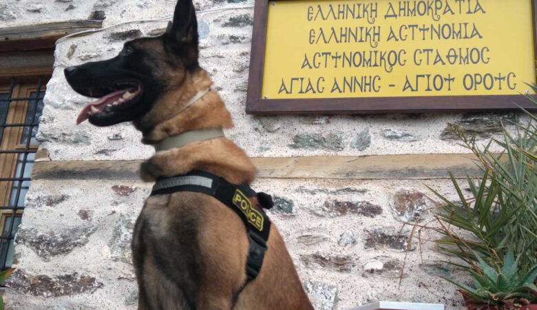 Βγαίνει στη σύνταξη ο Όσκαρ, ο πιο διάσημος σκύλος περιπολίας της ΕΛ.ΑΣ.