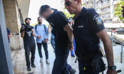 Κακουργηματική δίωξη στον 34χρονο που κλώτσησε και πάτησε γατάκι στην Καλαμαριά