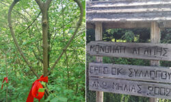 Καρδιές από κρανιές στο Μονοπάτι της Αγάπης στο βουνό των Μουσών στην Πιερία – Δείτε τις μαγευτικές εικόνες