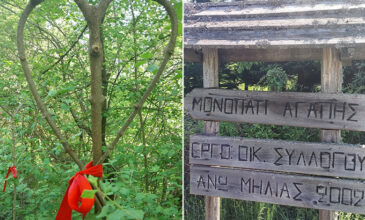 Καρδιές από κρανιές στο Μονοπάτι της Αγάπης στο βουνό των Μουσών στην Πιερία – Δείτε τις μαγευτικές εικόνες