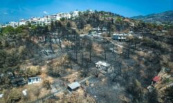 «Καμπανάκι» από τον Ευθύμιο Λέκκα: «Δεν έχουμε την πολυτέλεια να χάσουμε ούτε ένα δέντρο στην Αττική»