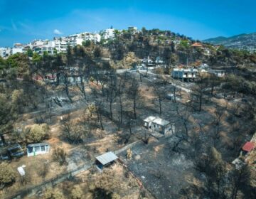 «Καμπανάκι» από τον Ευθύμιο Λέκκα: «Δεν έχουμε την πολυτέλεια να χάσουμε ούτε ένα δέντρο στην Αττική»