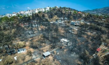 «Καμπανάκι» από τον Ευθύμιο Λέκκα: «Δεν έχουμε την πολυτέλεια να χάσουμε ούτε ένα δέντρο στην Αττική»