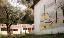 Ανακοινώθηκαν τα οριστικά αποτελέσματα για το κατασκηνωτικό πρόγραμμα της ΔΥΠΑ