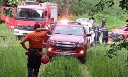 Νεκρός ο δεύτερος ορειβάτης που έπεσε σε χαράδρα όταν δέχθηκε επίθεση από αρκούδα στη Δράμα