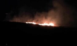 Τέθηκε υπό έλεγχο η φωτιά στον Προφήτη Ηλία Μυτιλήνης – Χωρίς ρεύμα η ευρύτερη περιοχή