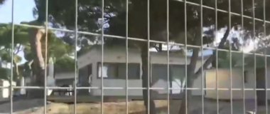 Εισαγγελική παρέμβαση για τα πολυτελή bungalows στο εθνικό πάρκο του Σχινιά