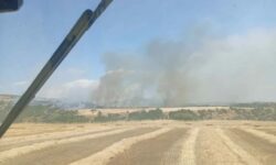 Πυρκαγιά σε δασική έκταση στην περιοχή Μελενικίτσι Σερρών