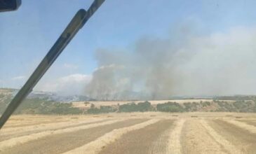 Πυρκαγιά σε δασική έκταση στην περιοχή Μελενικίτσι Σερρών