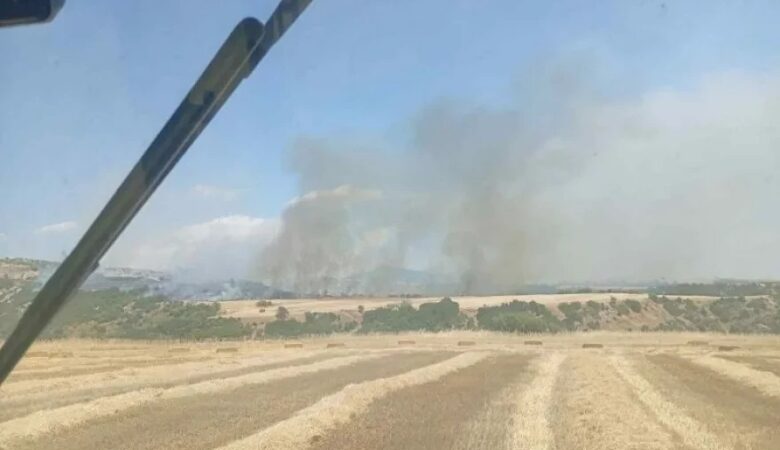 Πυρκαγιά σε δασική έκταση στην περιοχή Μελενικίτσι Σερρών