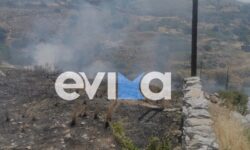Φωτιά σε έκταση με χαμηλή βλάστηση στην Κάρυστο