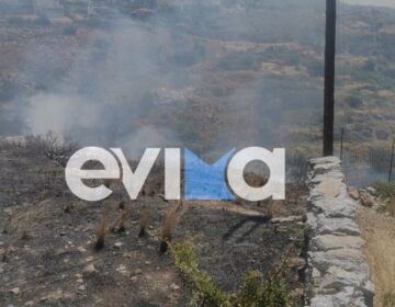 Φωτιά σε έκταση με χαμηλή βλάστηση στην Κάρυστο
