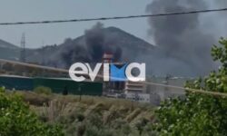 Φωτιά στην Εύβοια – Οι φλόγες απειλούν εργοστάσια