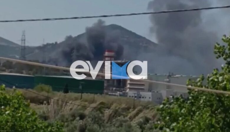 Φωτιά στην Εύβοια – Οι φλόγες απειλούν εργοστάσια
