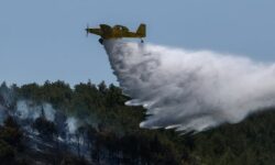 Σε ύφεση η φωτιά στο Άνω Σούλι Μαραθώνα