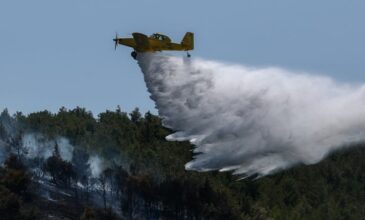 Φωτιά στο Γαρδίκι Θεσπρωτίας
