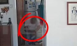 Προφυλακίστηκε η 57χρονη Ρουμάνα οικιακή βοηθός για την κακοποίηση της 88χρονης