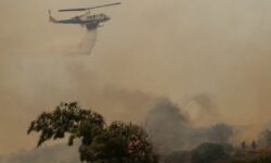 Περισσότεροι από 250 πυροσβέστες θα ενισχύσουν τις δυνάμεις που επιχειρούν σε πέντε δασικές φωτιές στη Χίο