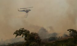Ολονύχτια μάχη με τις φλόγες στη Χίο: Μαίνονται τα ενεργά μέτωπα και οι άνεμοι