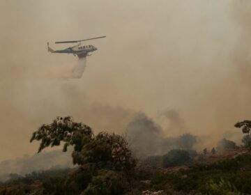 Ολονύχτια μάχη με τις φλόγες στη Χίο: Μαίνονται τα ενεργά μέτωπα και οι άνεμοι