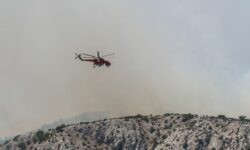 Μαίνεται η φωτιά στην Χίο – «Δύσκολα τα πράγματα», παραδέχεται ο δήμαρχος του νησιού