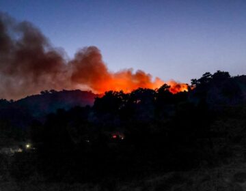 «Σε ύφεση η φωτιά στην Χίο – Δεν φαίνεται να υπάρχουν μέχρι τώρα καταστροφές σε σπίτια», είπε ο Γιάννης Κεφαλογιάννης