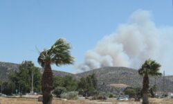Μεγάλη φωτιά στην Παλαιά Φώκαια: Κάηκαν σπίτια – Νέο μήνυμα του 112