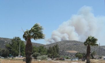 Μεγάλη φωτιά στην Παλαιά Φώκαια: Κάηκαν σπίτια – Νέο μήνυμα του 112