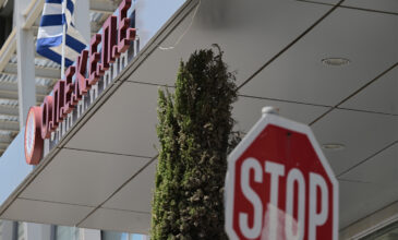 ΟΠΕΚΕΠΕ: Προφυλακίστηκε λογιστής για παράνομες επιδοτήσεις στα Γιαννιτσά