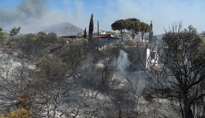 Από τι προκλήθηκε η μεγάλη πυρκαγιά στην Παλαιά Φώκαια – Σε καθεστώς αυξημένου συναγερμού η χώρα με αφορμή τις επικίνδυνες καιρικές συνθήκες
