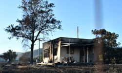 Χωρίς ενεργό μέτωπο η φωτιά στην Παλαιά Φώκαια – Εκτεταμένες ζημιές σε κατοικίες και περιουσίες
