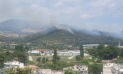 Έσβησε η φωτιά που ξέσπασε στην ανατολική είσοδο της Καβάλας