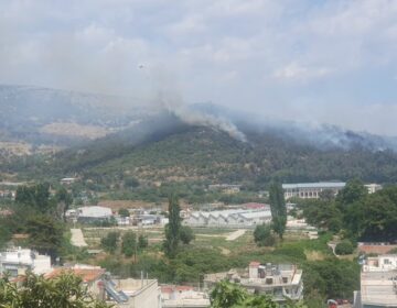 Έσβησε η φωτιά που ξέσπασε στην ανατολική είσοδο της Καβάλας