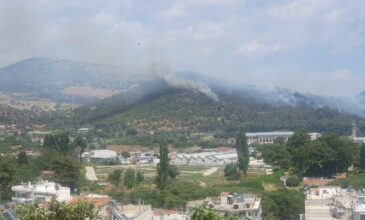 Έσβησε η φωτιά που ξέσπασε στην ανατολική είσοδο της Καβάλας