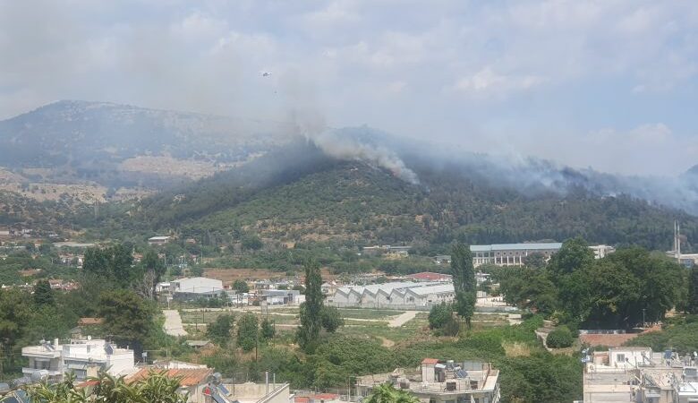 Έσβησε η φωτιά που ξέσπασε στην ανατολική είσοδο της Καβάλας