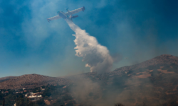 «Καλύτερη η εικόνα η φωτιά στην Ναύπακτο», λέει ο αντιπεριφερειάρχης Αιτωλοακαρνανίας