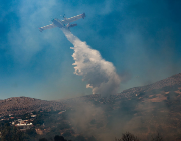 «Καλύτερη η εικόνα η φωτιά στην Ναύπακτο», λέει ο αντιπεριφερειάρχης Αιτωλοακαρνανίας