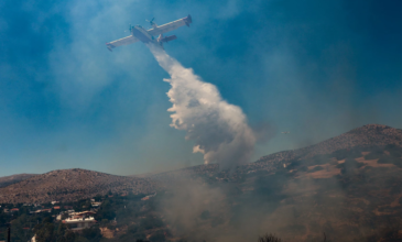 «Καλύτερη η εικόνα η φωτιά στην Ναύπακτο», λέει ο αντιπεριφερειάρχης Αιτωλοακαρνανίας