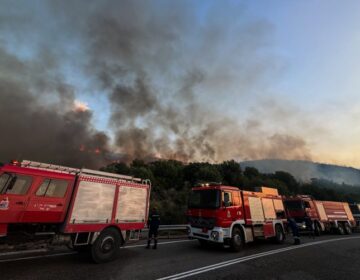 Μικρές αναζωπυρώσεις στην φωτιά στη Ναύπακτο – Δεν έχουν καταγραφεί ζημιές σε σπίτια
