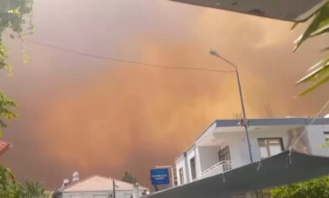 Μεγάλη φωτιά στη Σμύρνη: Εκκενώθηκαν συνοικίες, κάηκαν σπίτια, πολλά πύρινα μέτωπα – Οι στάχτες έφτασαν μέχρι την Πάτμο
