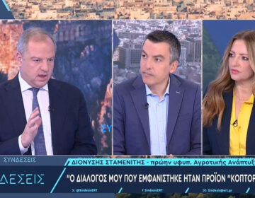 Σταμενίτης για ΟΠΕΚΕΠΕ: Ήταν μονόδρομος η παραίτησή μου